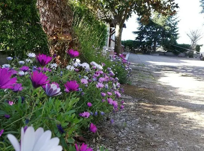 Casa Noemi * Sperlonga